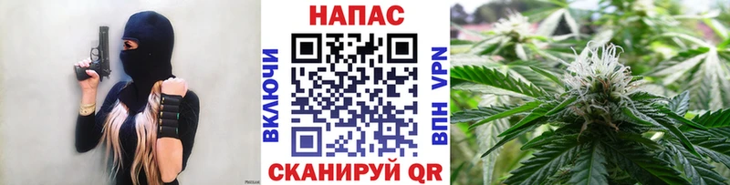гидра ONION  Белая Холуница  Бошки Шишки семена  закладки 